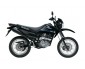 DR125_SM_bk_web-l
